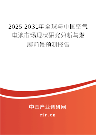 2025-2031年全球與中國空氣電池市場現(xiàn)狀研究分析與發(fā)展前景預(yù)測報告