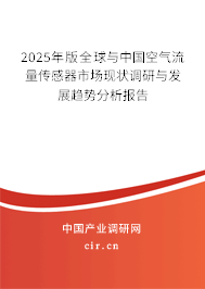 2025年版全球與中國空氣流量傳感器市場現狀調研與發展趨勢分析報告