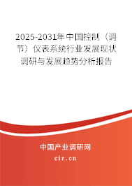 2025-2031年中國控制（調(diào)節(jié)）儀表系統(tǒng)行業(yè)發(fā)展現(xiàn)狀調(diào)研與發(fā)展趨勢分析報(bào)告