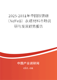 2025-2031年中國釹鐵硼（NdFeB）永磁材料市場調研與發展趨勢報告