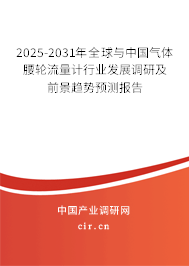 2025-2031年全球與中國氣體腰輪流量計行業發展調研及前景趨勢預測報告