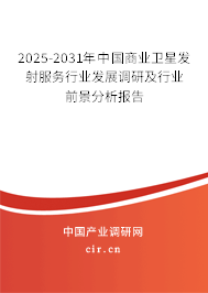 2025-2031年中國商業(yè)衛(wèi)星發(fā)射服務行業(yè)發(fā)展調研及行業(yè)前景分析報告