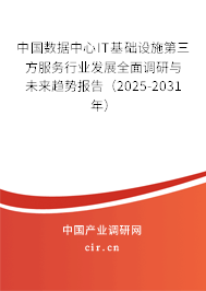 中國數據中心IT基礎設施第三方服務行業發展全面調研與未來趨勢報告（2025-2031年）