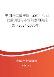 中國丙二醇甲醚（pm）行業發展調研與市場前景預測報告（2024-2030年）