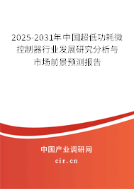 2025-2031年中國超低功耗微控制器行業發展研究分析與市場前景預測報告