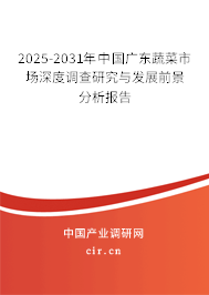 2025-2031年中國廣東蔬菜市場深度調查研究與發展前景分析報告