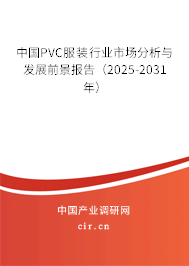 中國PVC服裝行業市場分析與發展前景報告（2025-2031年）
