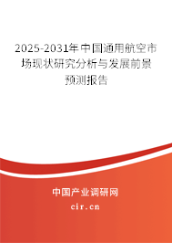 2025-2031年中國通用航空市場現狀研究分析與發展前景預測報告