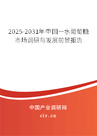 2024-2030年中國一水葡萄糖市場調研與發(fā)展前景報告