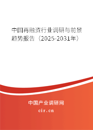中國再融資行業調研與前景趨勢報告（2025-2031年）