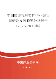 中國智能視頻監控行業現狀調研及發展趨勢分析報告（2025-2031年）