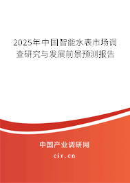 2025年中國智能水表市場調查研究與發展前景預測報告