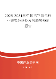 2025-2031年中國吉它背包行業研究分析及發展趨勢預測報告