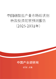 中國硼酸鹽產業市場現狀剖析及投資前景預測報告（2025-2031年）