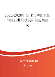 2022-2028年全球與中國聚酯薄膜行業現狀調研及前景趨勢