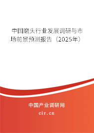 中國磨頭行業發展調研與市場前景預測報告（2025年）
