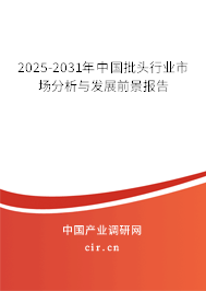 2025-2031年中國批頭行業市場分析與發展前景報告