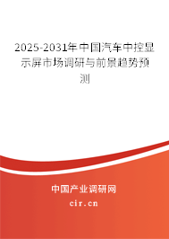 2025-2031年中國(guó)汽車(chē)中控顯示屏市場(chǎng)調(diào)研與前景趨勢(shì)預(yù)測(cè)