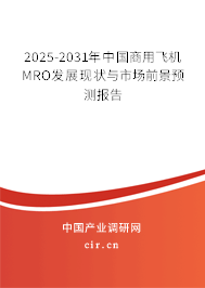 2025-2031年中國商用飛機MRO發展現狀與市場前景預測報告