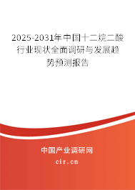 2024-2030年中國十二烷二酸行業現狀全面調研與發展趨勢預測報告