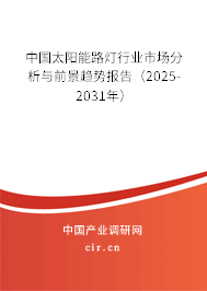 中國太陽能路燈行業市場分析與前景趨勢報告（2025-2031年）