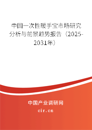 中國(guó)一次性暖手寶市場(chǎng)研究分析與前景趨勢(shì)報(bào)告（2025-2031年）