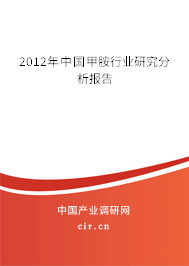 2012年中國甲胺行業研究分析報告