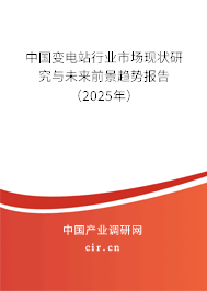 中國(guó)變電站行業(yè)市場(chǎng)現(xiàn)狀研究與未來(lái)前景趨勢(shì)報(bào)告（2025年）