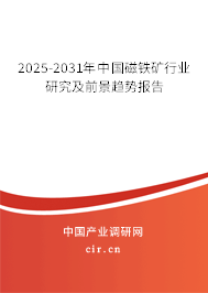 2025-2031年中國磁鐵礦行業研究及前景趨勢報告