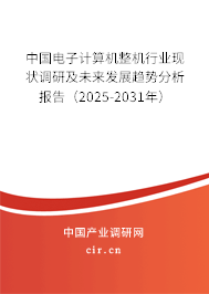中國電子計算機整機行業現狀調研及未來發展趨勢分析報告（2025-2031年）