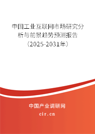 中國工業互聯網市場研究分析與前景趨勢預測報告（2025-2031年）
