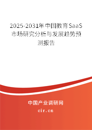 2024-2030年中國教育SaaS市場研究分析與發展趨勢預測報告