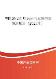 中國SNS市場調研與發展前景預測報告（2025年）