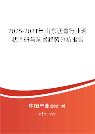 2025-2031年山東瀝青行業現狀調研與前景趨勢分析報告