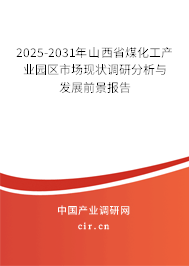 2025-2031年山西省煤化工產業園區市場現狀調研分析與發展前景報告