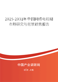2025-2031年中國網絡電視劇市場研究與前景趨勢報告