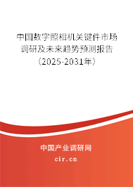中國數(shù)字照相機(jī)關(guān)鍵件市場調(diào)研及未來趨勢預(yù)測報告（2025-2031年）
