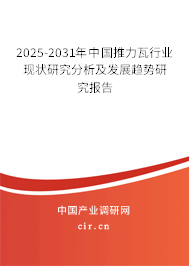 2024-2030年中國推力瓦行業現狀研究分析及發展趨勢研究報告