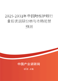 2025-2031年中國地板護理行業現狀調研分析與市場前景預測