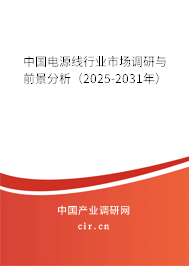 中國電源線行業(yè)市場調研與前景分析（2025-2031年）