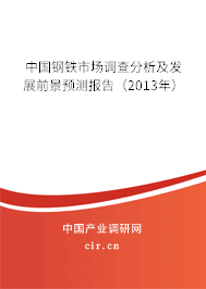 中國鋼鐵市場調查分析及發展前景預測報告（2013年）