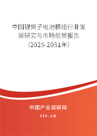 中國鋰離子電池模組行業(yè)發(fā)展研究與市場前景報告（2025-2031年）