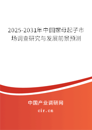 2025-2031年中國螺母起子市場調查研究與發展前景預測