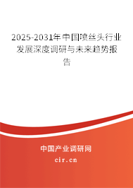 2025-2031年中國噴絲頭行業發展深度調研與未來趨勢報告