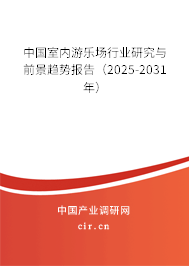 中國室內游樂場行業研究與前景趨勢報告（2025-2031年）