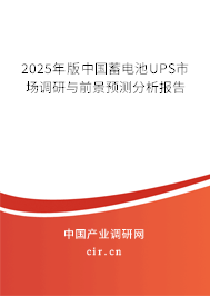 2025年版中國(guó)蓄電池UPS市場(chǎng)調(diào)研與前景預(yù)測(cè)分析報(bào)告