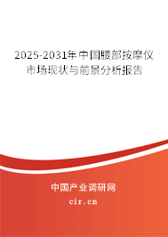 2025-2031年中國腰部按摩儀市場現狀與前景分析報告