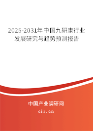 2025-2031年中國九研康行業發展研究與趨勢預測報告