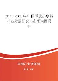 2025-2031年中國磁能熱水器行業發展研究與市場前景報告