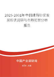 2024-2030年中國建筑砂漿發展現狀調研與市場前景分析報告